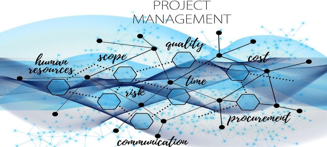 Consultant Chef de Projets